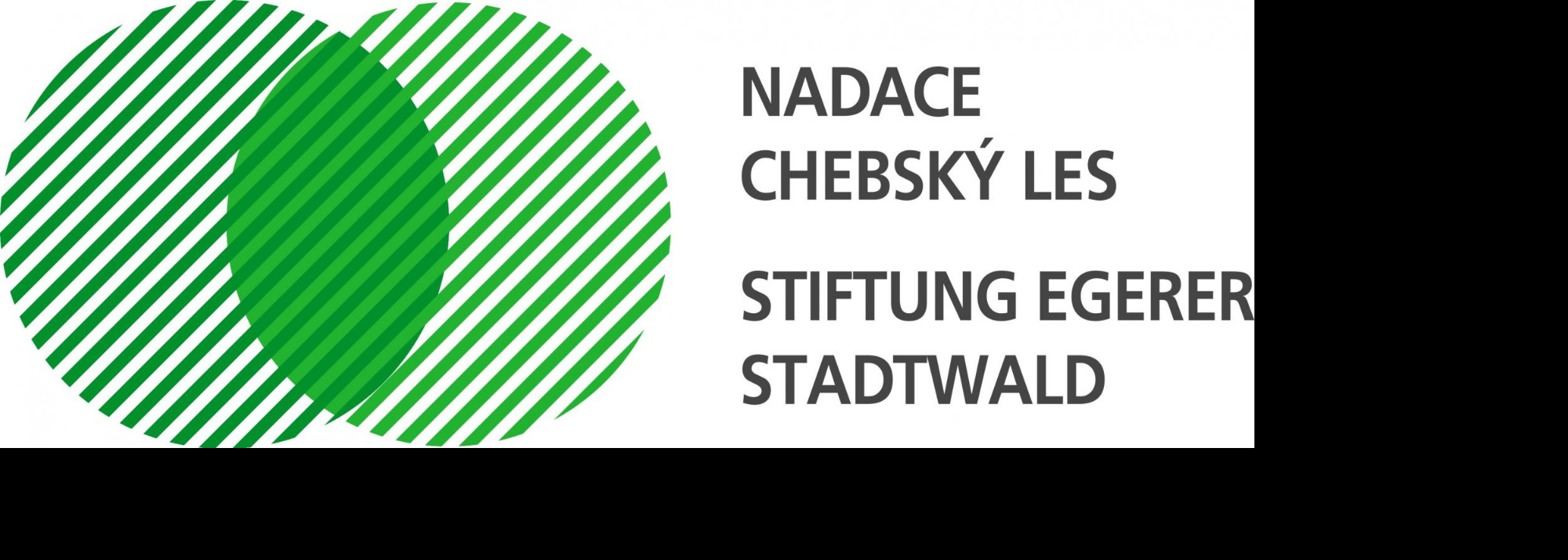 Nadace Chebský les